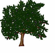 روز درختکاری