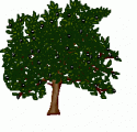 روز درختکاری